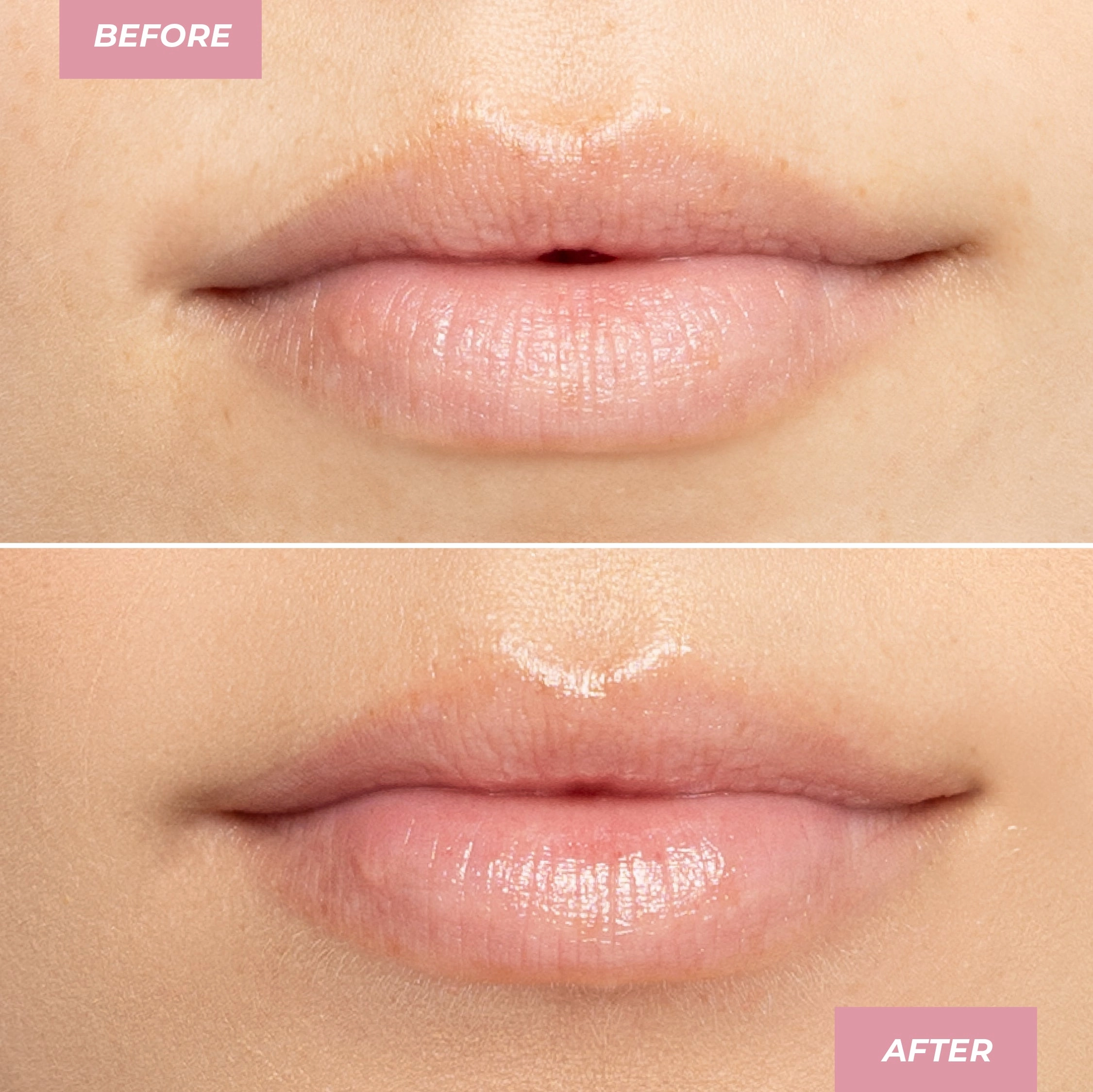 Coconut Lip Balm
