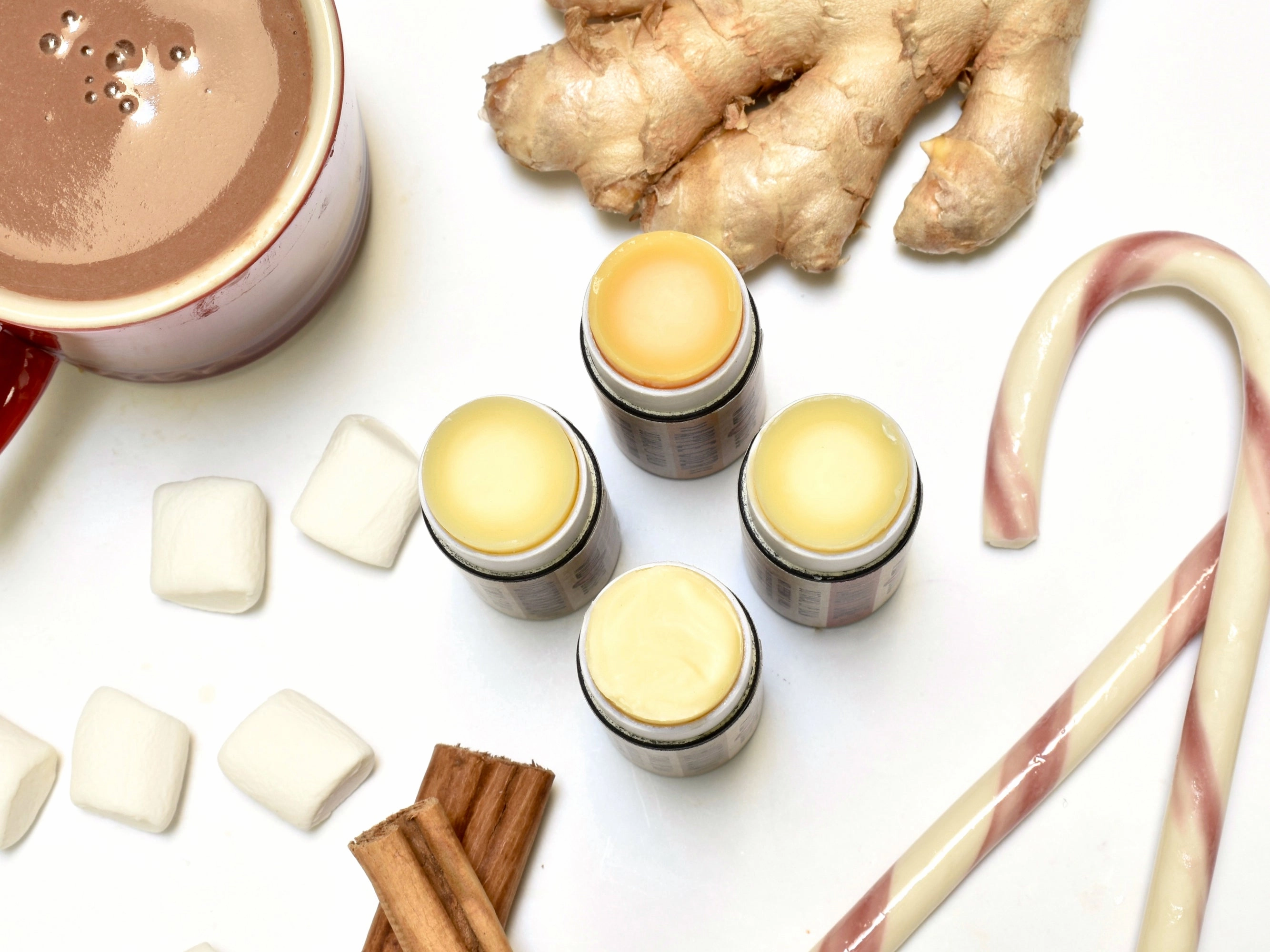 HOLIDAY - Natural Lip Balm Set