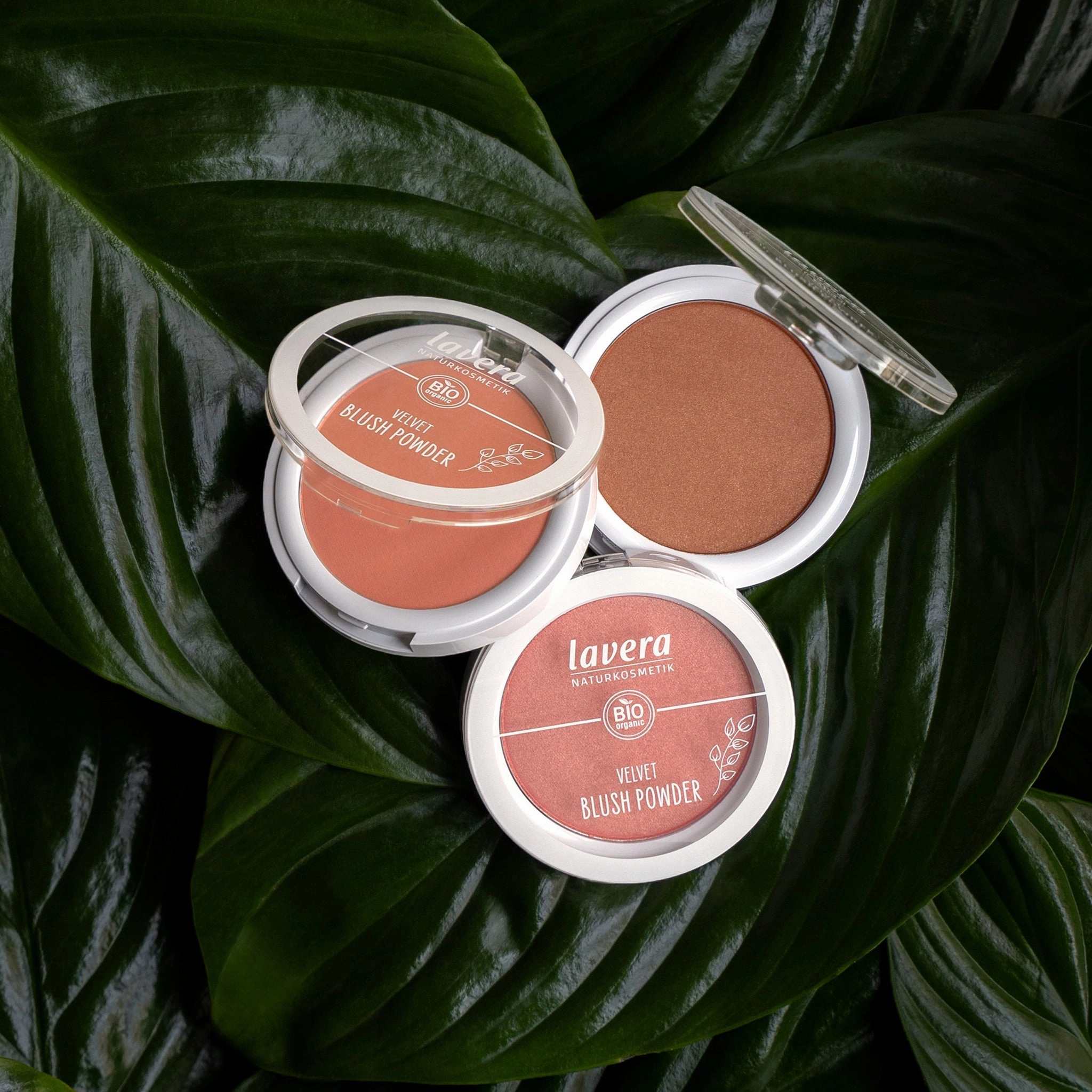 Velvet Blush Powder